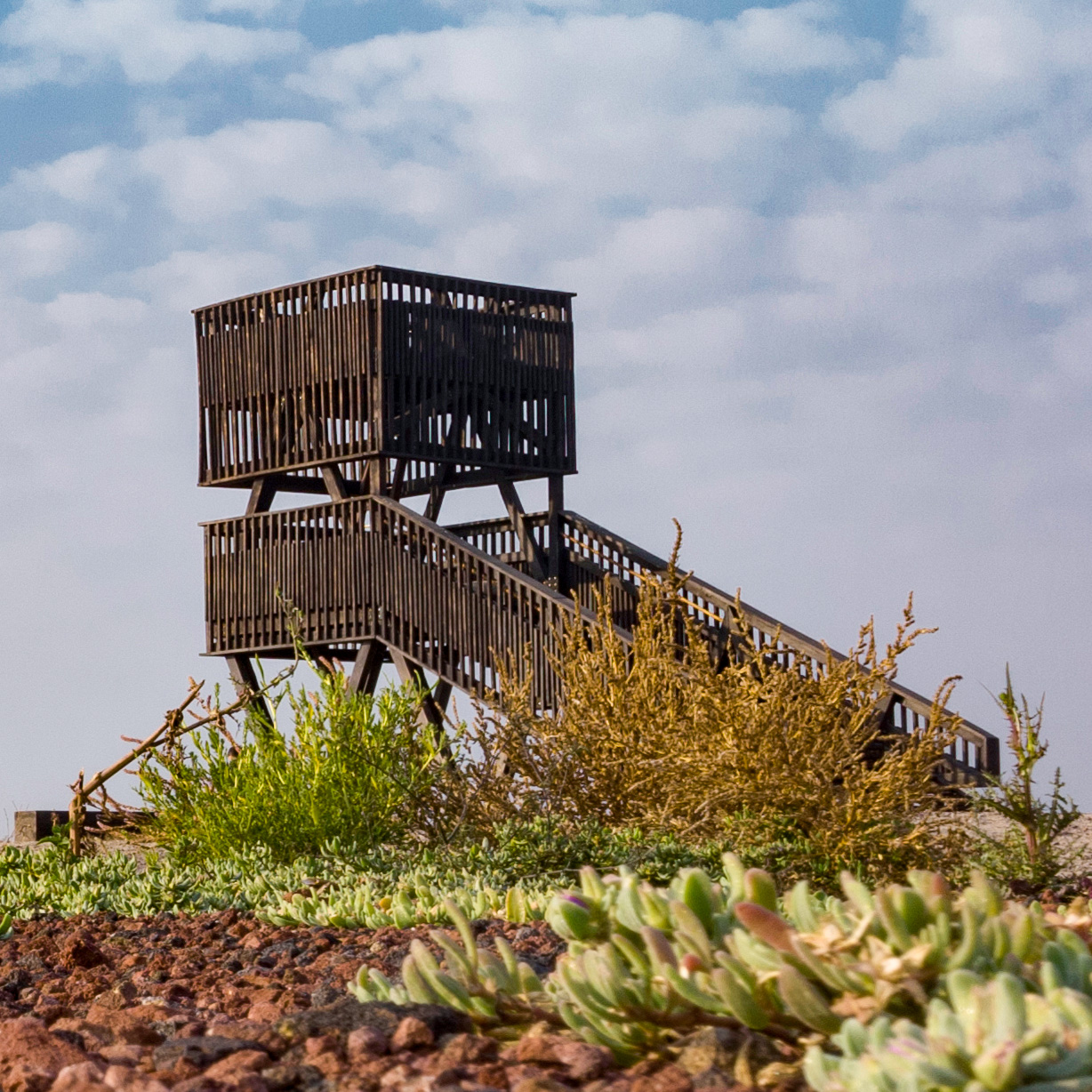 platform for birdwatchers