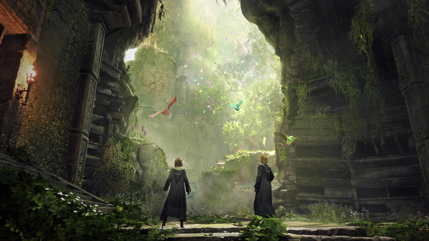 A massive hole in the side of a castle wall reveals lush, overgrown foliage and two colorful birds, and two Hogwarts students gaze out in awe.