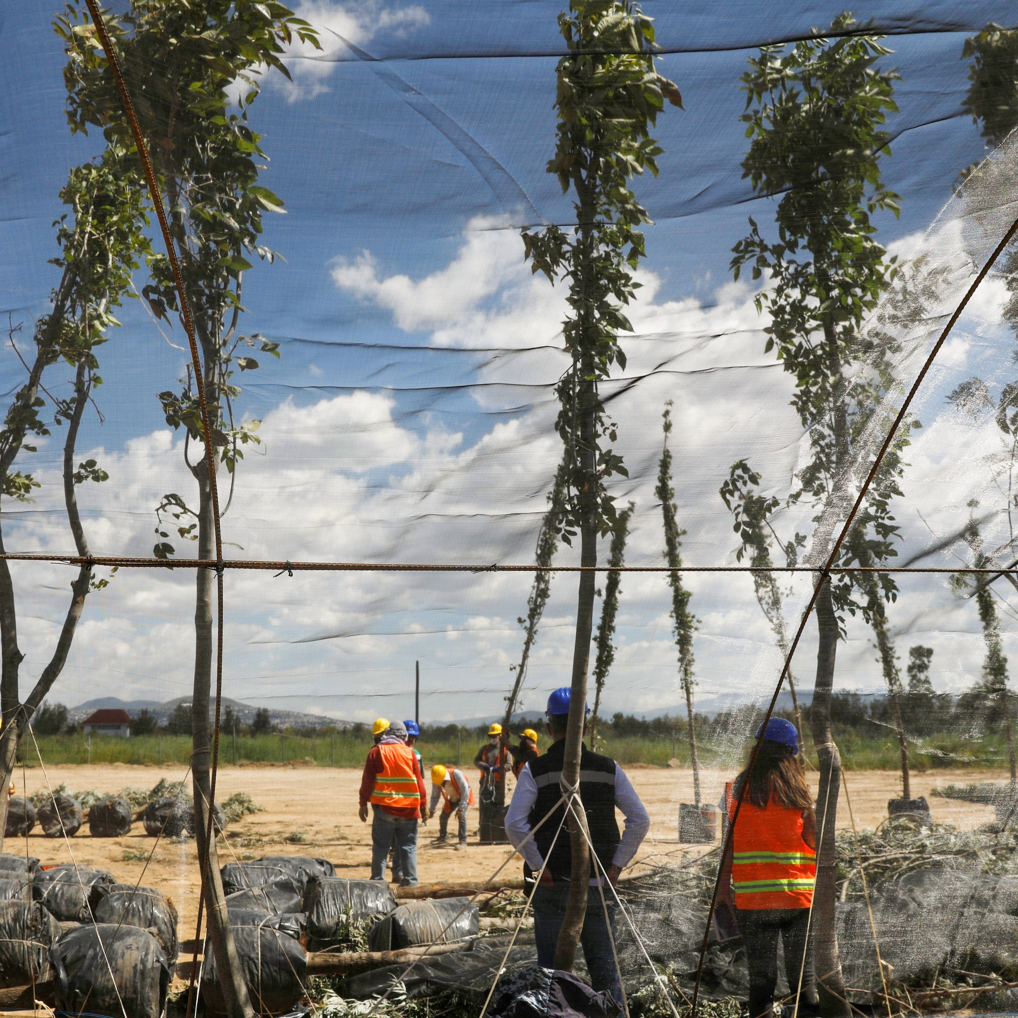 general view of the site and workers at the garden center