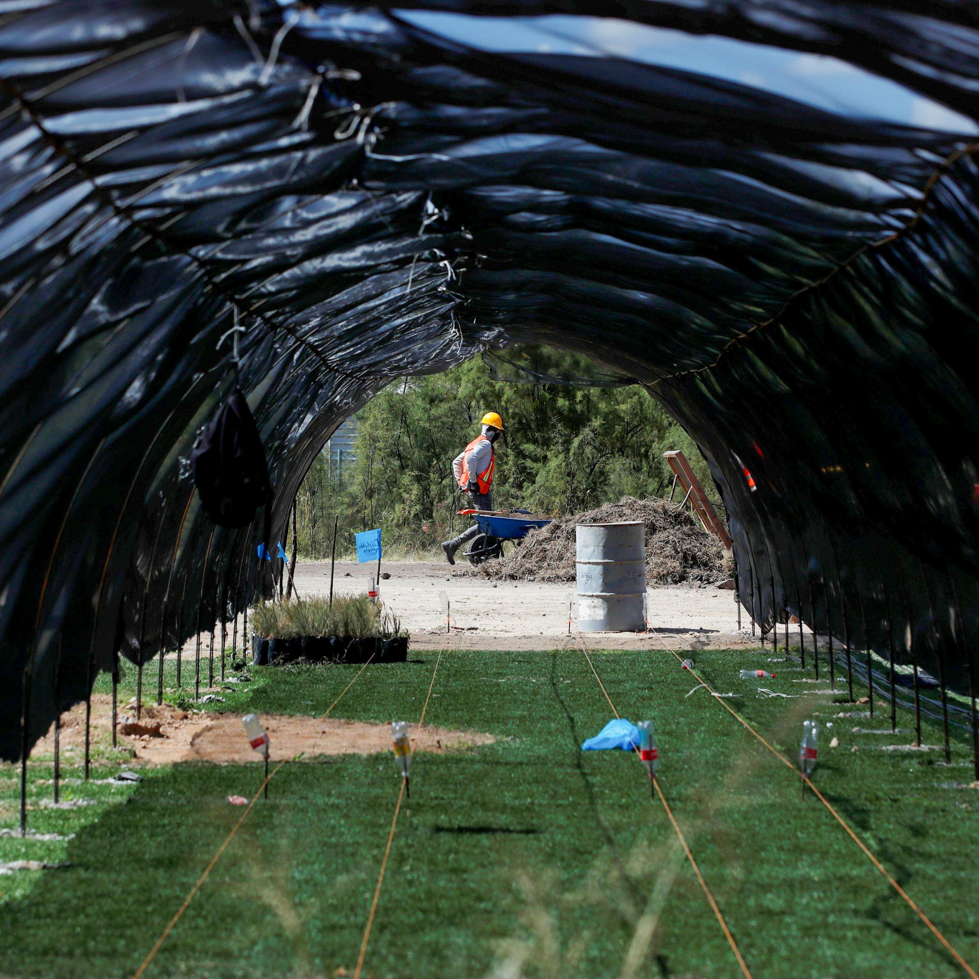 A worker with a wheelbarrow at the garden center is seen through a canopy of plastic overhanging plant beds