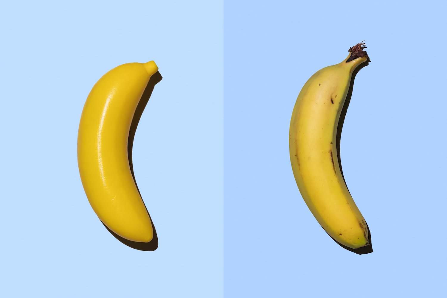 Plastic banana beside real banana