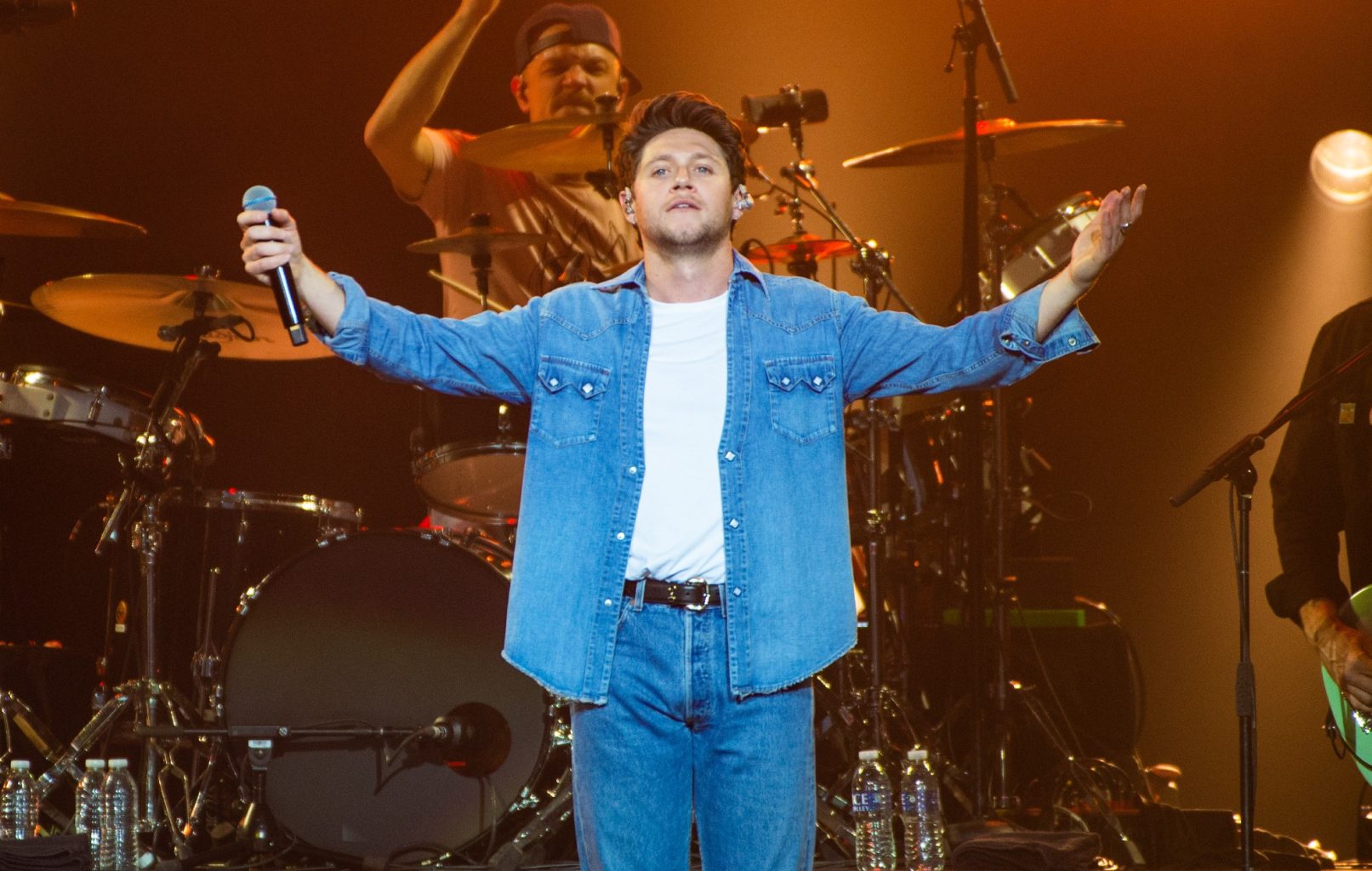 Niall Horan Gay