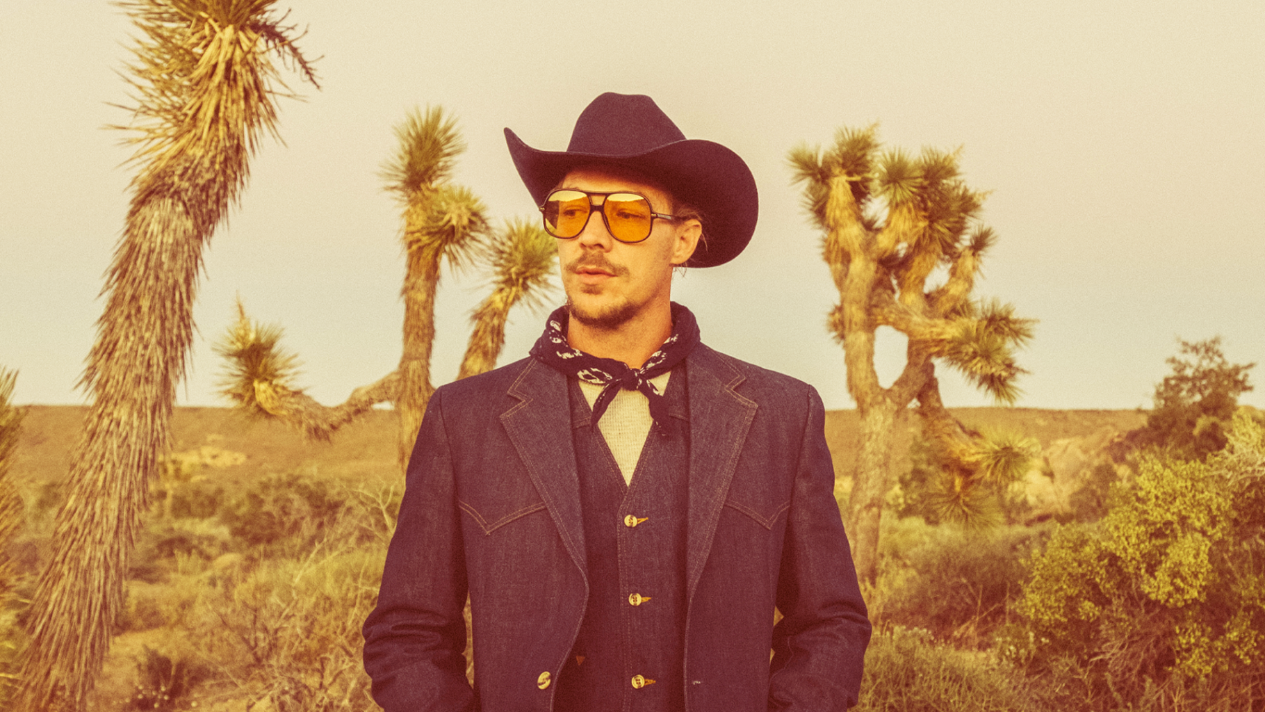 Diplo Gay
