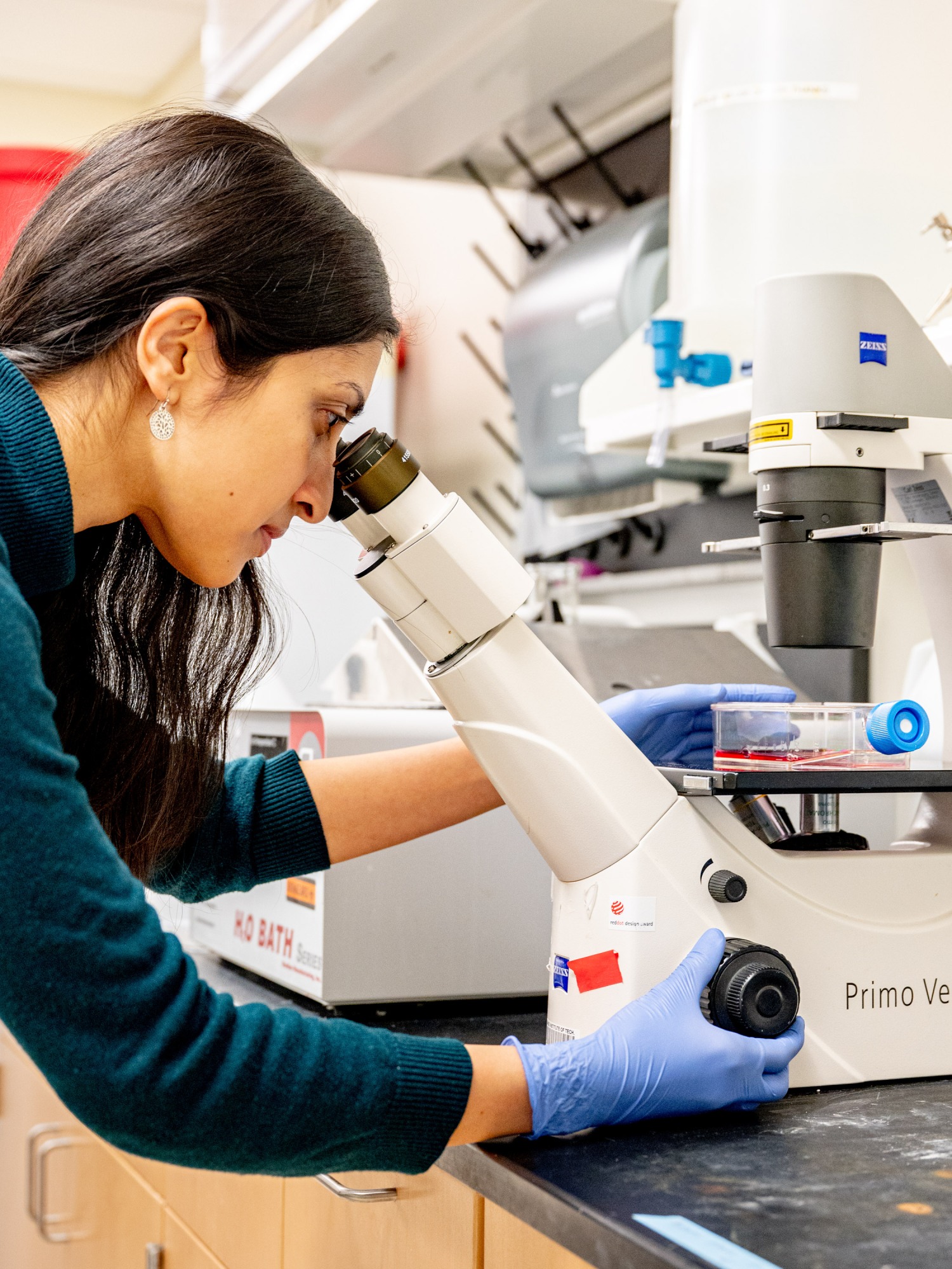 Raman looks through a microscope