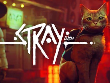 Stray