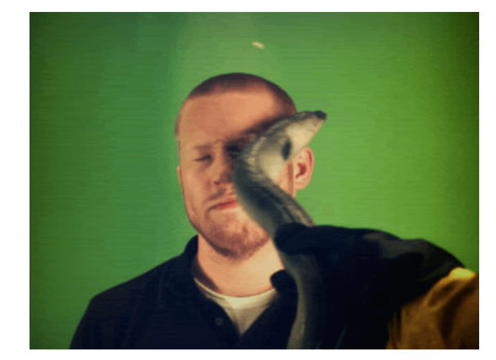 eel slap useless and pointless website