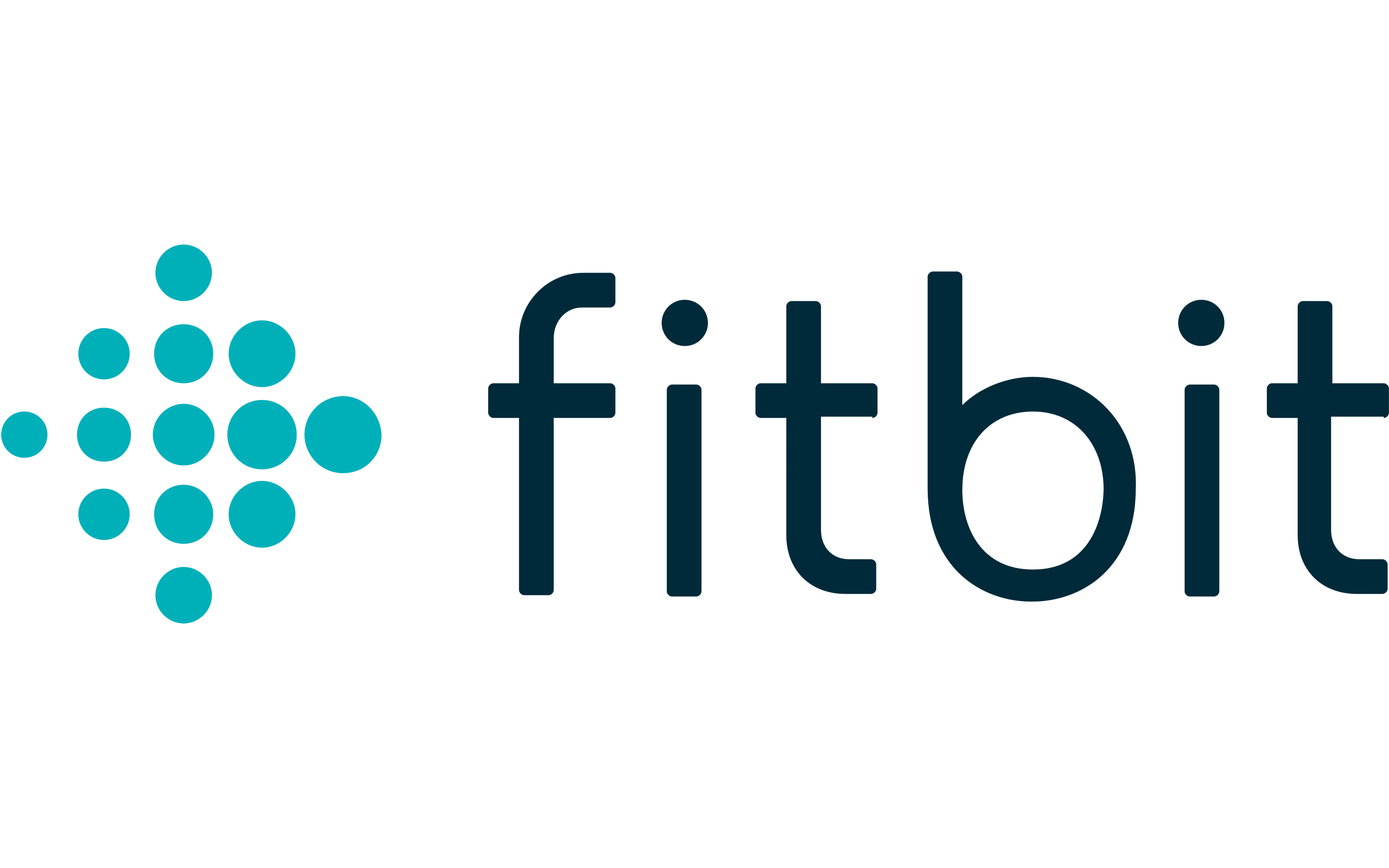 Fitbit