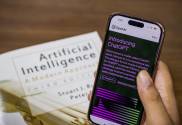Accessible AI