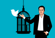 elon musk and twitter