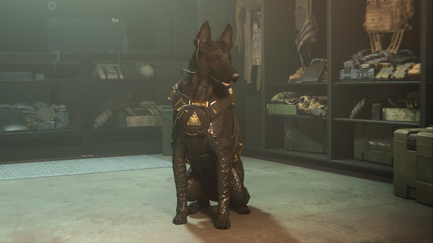 Promotional still from season five of ‘Call of Duty: Modern Warfare II.’ Merlin, a black-furred German Shepherd wearing battle fatigues, sits inside a dimly lit loadout room. He is smiling and appears to be a very good boy.