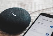 Voice Assistants for Home