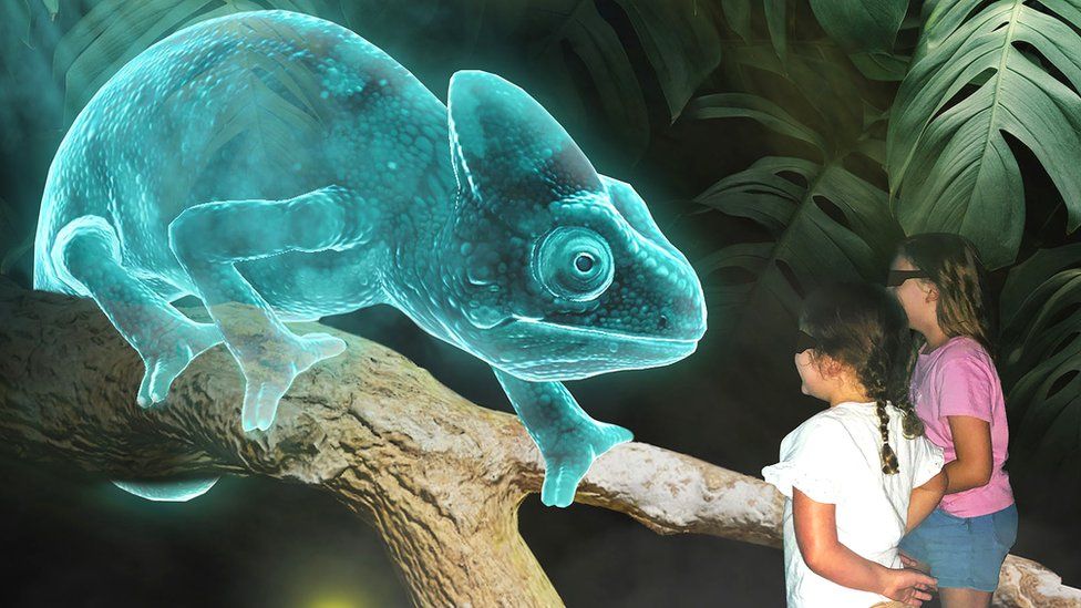 A chameleon hologram