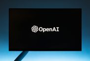 OpenAI training