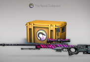 Counter-Strike 2 Recoil case